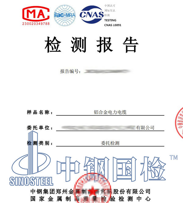 線纜檢測報(bào)告