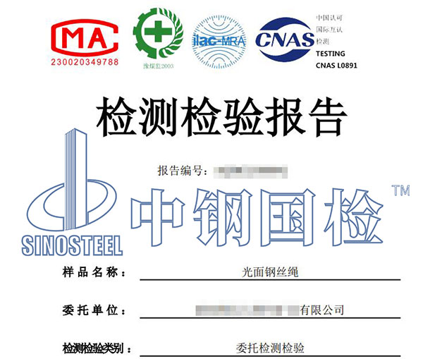 鋼絲繩檢測報(bào)告